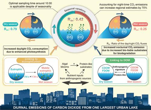 Eutrophication and Dissolved Organic Matter Exacerbate the Diel Discrepancy of CO2 Emissions in China’s Largest Urban Lake