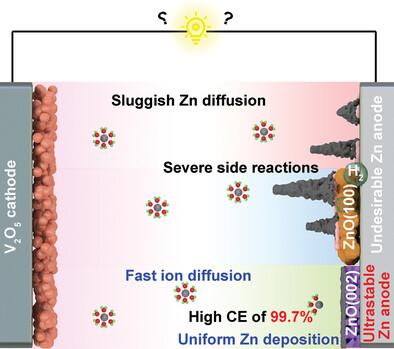 Highly Reversible Zn Anode Design Through Oriented ZnO(002) Facets