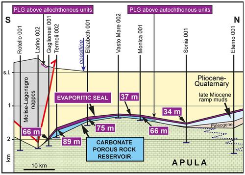 The role of the Messinian evaporites in the identification of potential gas storage sites: A review of the Adriatic foreland basin system (Italy)