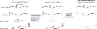 All the sites we cannot see: Sources and mitigation of false negatives in RNA modification studies