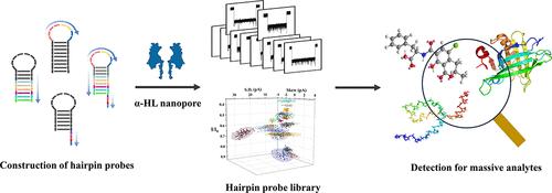 Encodable DNA Hairpin Probes for Nanopore Multiplexed Target Detection