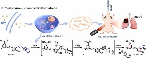 Discovery of peroxynitrite elevation in zinc ion-induced acute lung injury with an activatable near-infrared fluorogenic probe