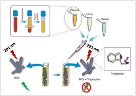 Orotic acid-capped Tb(III)-doped calcium sulphate nanorods for the selective detection of tryptophan