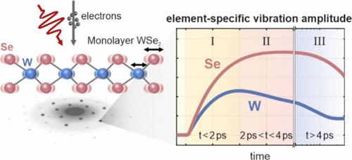 Element-Specific Ultrafast Lattice Dynamics in Monolayer WSe2