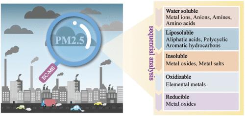 Chemical Fingerprinting of PM2.5 via Sequential Speciation Analysis Using Electrochemical Mass Spectrometry