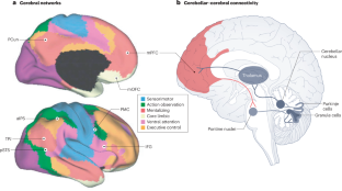 Social and emotional learning in the cerebellum