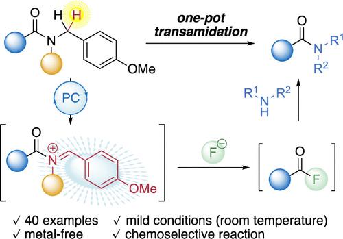 Chemoselective Cleavage and Transamidation of Tertiary p-Methoxybenzyl Amides under Metal-Free Photoredox Catalysis