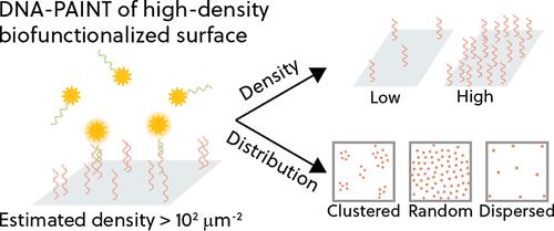 Revealing Spatial Molecular Heterogeneity of High-Density Biofunctionalized Surfaces Using DNA-PAINT