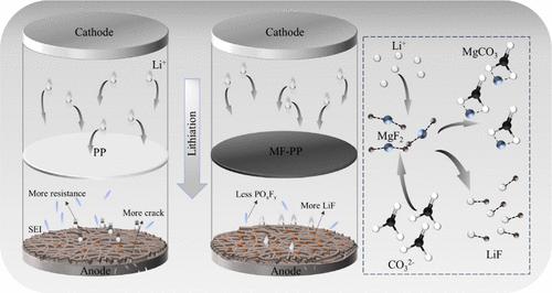 MgF2 Interface Engineering Promotes the Growth and Stability of LiF-Rich Solid–Electrolyte Interphases on Si-C