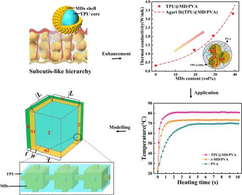 Construction of Vertically Interconnected Microdiamond Channels Inspired by Subcutis for Thermal Conductivity Enhancement of Polymer Composite Films