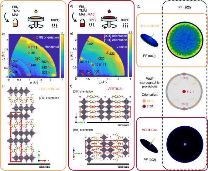 Vertically oriented low-dimensional perovskites for high-efficiency wide band gap perovskite solar cells