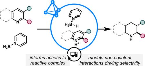 Supramolecular Catalyzed Cascade Reduction of Azaarenes Interrogated via Data Science