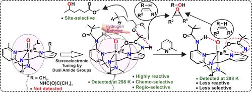 Stereoelectronic Tuning of Bioinspired Nonheme Iron(IV)-Oxo Species by Amide Groups in Primary and Secondary Coordination Spheres for Selective Oxygenation Reactions