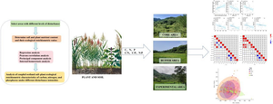 Analysis of coupled wetland soil–plant ecological stoichiometric characteristics of carbon, nitrogen, and phosphorus under different disturbance intensities