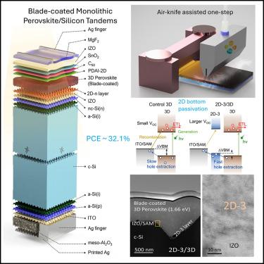 Efficient blade-coated perovskite/silicon tandems via interface engineering