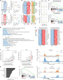 Downregulating human leucocyte antigens on mesenchymal stromal cells by epigenetically repressing a β2-microglobulin super-enhancer