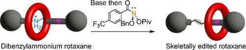 Skeletal Editing of Mechanically Interlocked Molecules: Nitrogen Atom Deletion from Crown Ether-Dibenzylammonium Rotaxanes