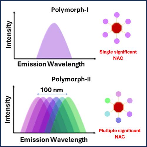 Nonadiabatic Couplings Facilitate Excitation Wavelength–Dependent Fluorescence in a Cyclooctatetraene-Based Polymorph