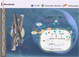 Enhanced Biofilm-dependent Biogas Upgrading from Waste Activated Sludge Fermentation Liquor in Microbial Electrolysis Cells