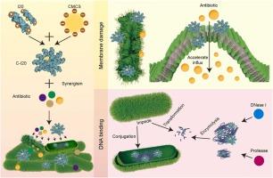 Fabulous combination therapy: synergistic antibiotic inhibition of aquatic antibiotic-resistant bacteria via membrane damage and DNA binding by novel nano antimicrobial peptide C-I20