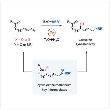 Copper-catalyzed 1,4-aminohydroxylation and aminothiolation of 1,3-dienes by carbonyl-assisted migration