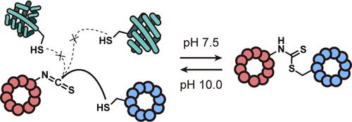 Selective pH-Responsive Conjugation between a Pair of De Novo Discovered Peptides