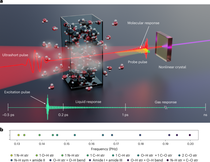 Near-petahertz fieldoscopy of liquid