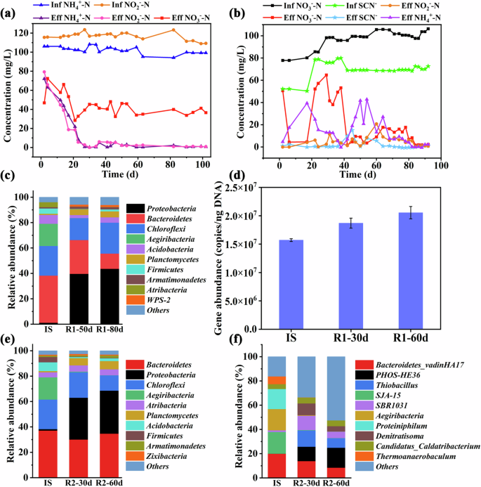 Uncovering pathway and mechanism of simultaneous thiocyanate detoxicity and nitrate removal through anammox and denitrification