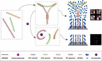 An Ultrasensitive Liquid Crystal Aptasensing Chip Assisted by Three-Way Junction DNA Pockets for Acrylamide Detection in Food Samples