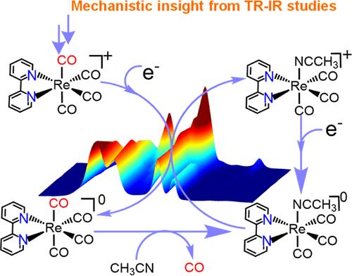 Direct Detection of Key Intermediates during the Product Release in Rhenium Bipyridine-Catalyzed CO2 Reduction Reaction