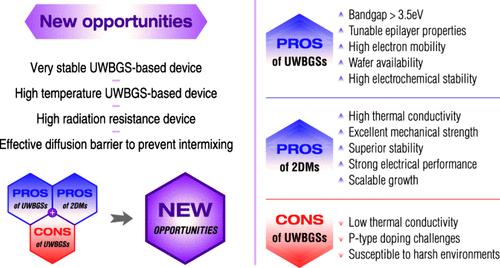 2D Embedded Ultrawide Bandgap Devices for Extreme Environment Applications.