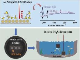 Metal–organic framework-based SERS chips enable in situ and sensitive detection of dissolved hydrogen sulfide in natural water: towards a bring-back-chip mode for field analysis