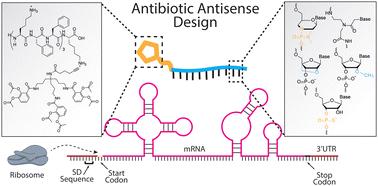 Chemical strategies for antisense antibiotics