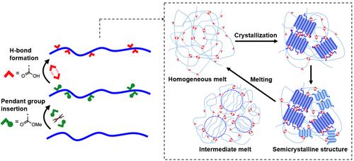 Crystallization of Strictly Linear Poly(ethylene-ran-acrylic acid) Copolymer: Impacts of Pendant Group Insertion and Hydrogen Bonding