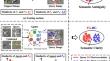 AgMTR: Agent Mining Transformer for Few-Shot Segmentation in Remote Sensing