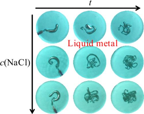 Effect of Anions on Deformation of Gallium-Based Liquid Metal in Solution.