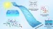 Dynamic Regulation of Hydrogen Bonding Networks and Solvation Structures for Synergistic Solar-Thermal Desalination of Seawater and Catalytic Degradation of Organic Pollutants