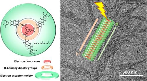 Long-Lived Charge Carrier Photogeneration in a Cooperative Supramolecular Double-Cable Polymer