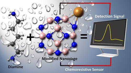 Advances in Selective Detection of Cadaverine by Electronic, Optical, and Work Function Sensors Based on Cu-Modified B<sub>12</sub>N<sub>12</sub> and Al<sub>12</sub>N<sub>12</sub> Nanocages: A Density Functional Theory (DFT) Study.