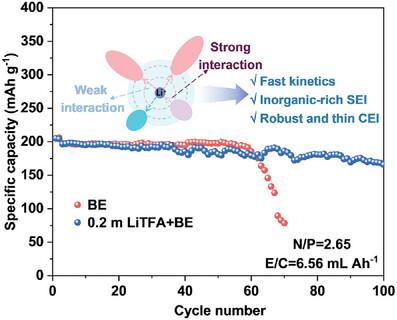 Designing High Donor Number Anion Additive for Stable Lithium Metal Batteries.