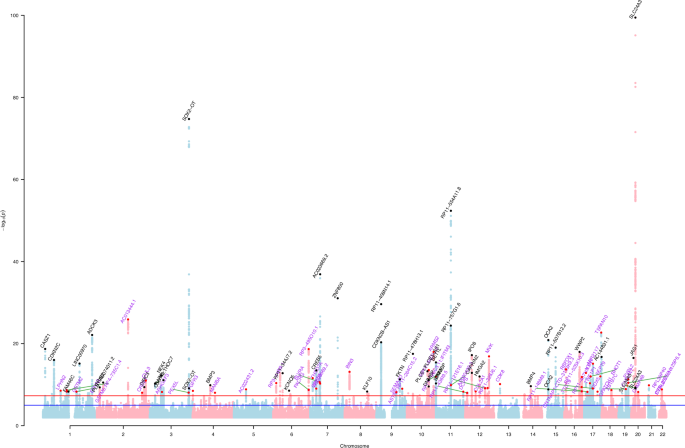 Uncovering genetic loci and biological pathways associated with age-related cataracts through GWAS meta-analysis