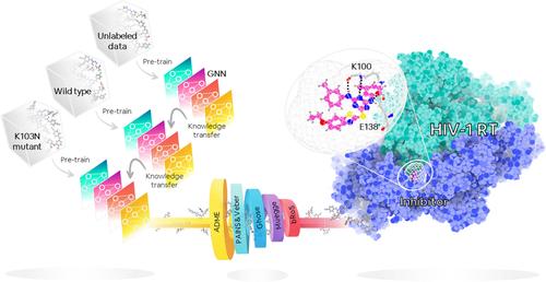 Pre-training strategy for antiviral drug screening with low-data graph neural network: A case study in HIV-1 K103N reverse transcriptase.