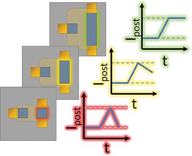 Role of Trapping in Non-Volatility of Electrochemical Neuromorphic Organic Devices