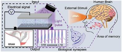 Photo-synaptic Memristor Devices from Solution-processed Ga2O3 Thin Films