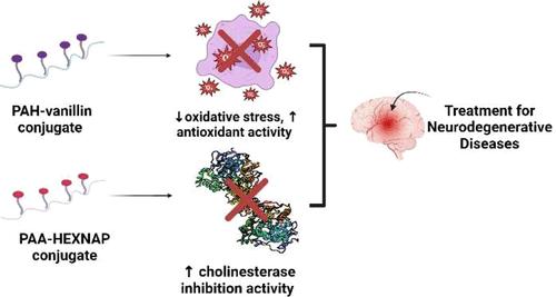 Synthesis and Evaluation of Polymer-Drug Conjugates as Potential Antioxidants and Cholinesterase Inhibitors for Neurodegenerative Diseases