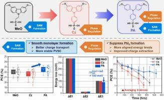 Impact of self-assembled monolayer structural design on perovskite phase regulation, hole-selective contact, and energy loss in inverted perovskite solar cells