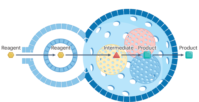 Understanding the chemistry of mesostructured porous nanoreactors