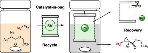 Facile Recovery and Recycling of a Soluble Dirhodium Catalyst in Asymmetric Cyclopropanation via a Catalyst-in-Bag System