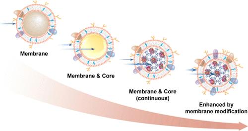 Research Advances of Cellular Nanoparticles as Multiplex Countermeasures