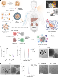 Gold-siRNA supraclusters enhance the anti-tumor immune response of stereotactic ablative radiotherapy at primary and metastatic tumors